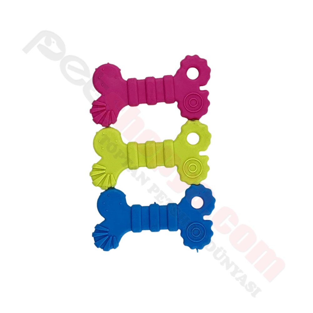 KEMİK MODEL RENKLİ DİŞ KAŞIMA OYUNCAĞI