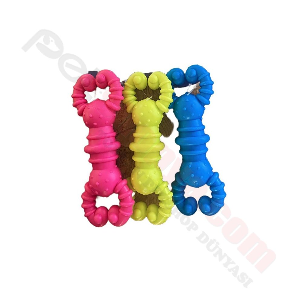 RENKLİ DİŞ KAŞIMA OYUNCAĞI