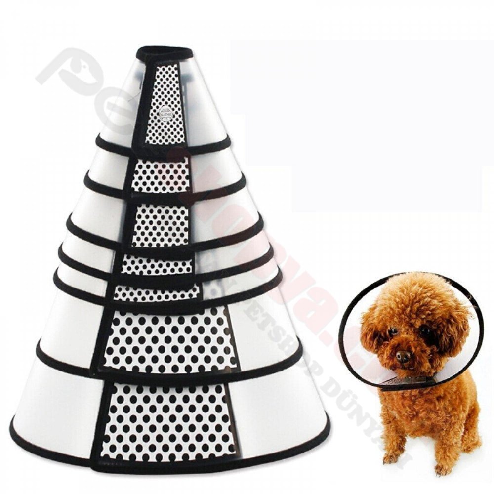 ELİZABETH YAKALIK NO:1